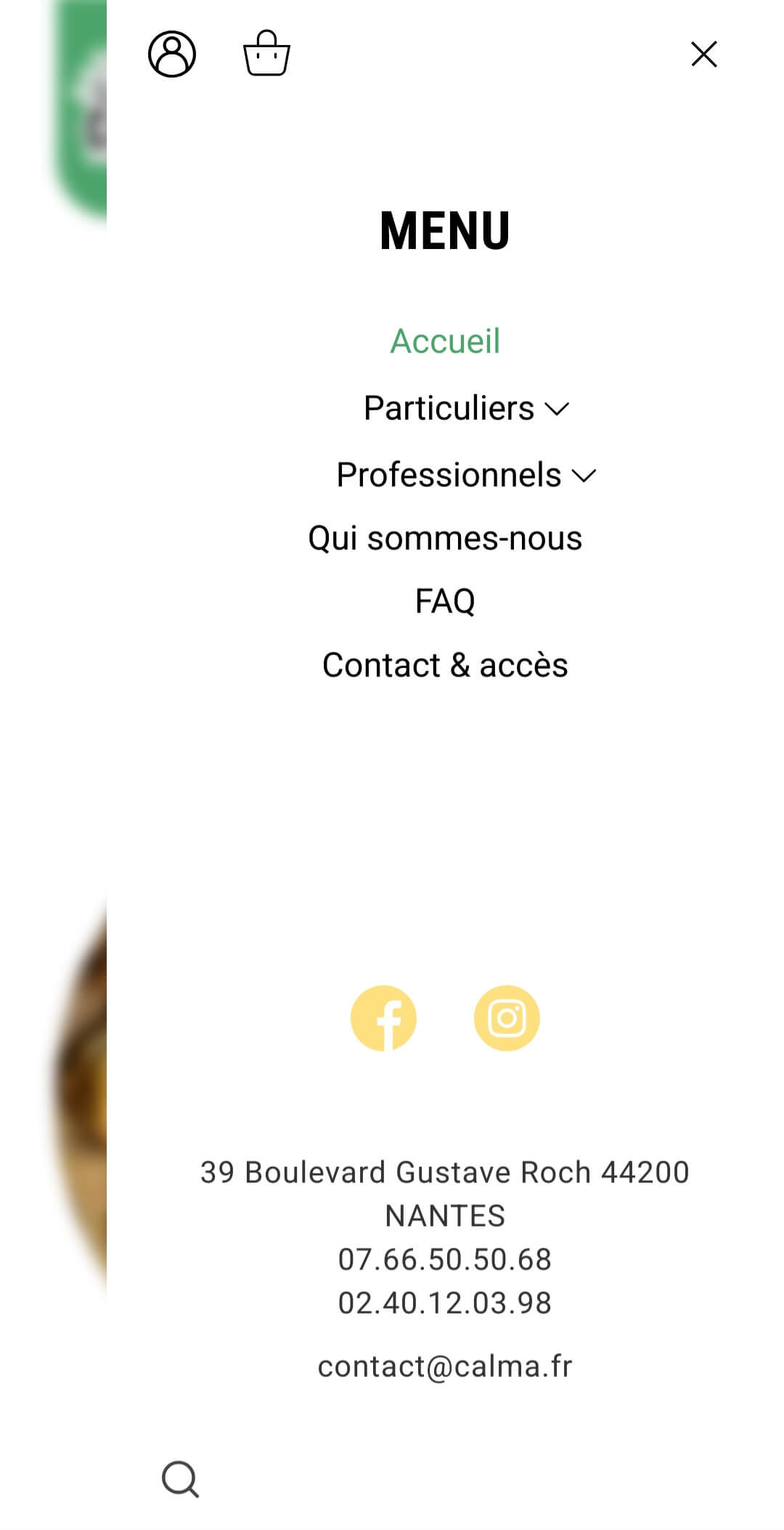 Menu (mobile)